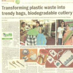 News Beauty of Recycling Campaign 1