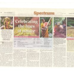 News-clip-41-holi-250x250